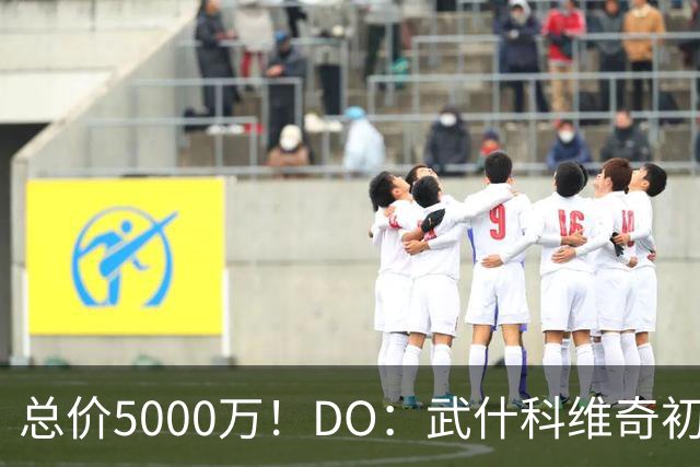 总价5000万！DO：武什科维奇初始转会费4600万镑，热刺有二转分成